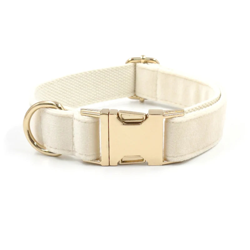 Cream Velvet Dog Collar – Elegance Redefined