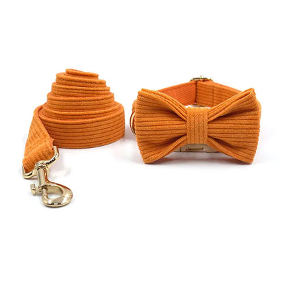 Orange Velvet Walk Set – Geschirr, Leine und Taschenhalter