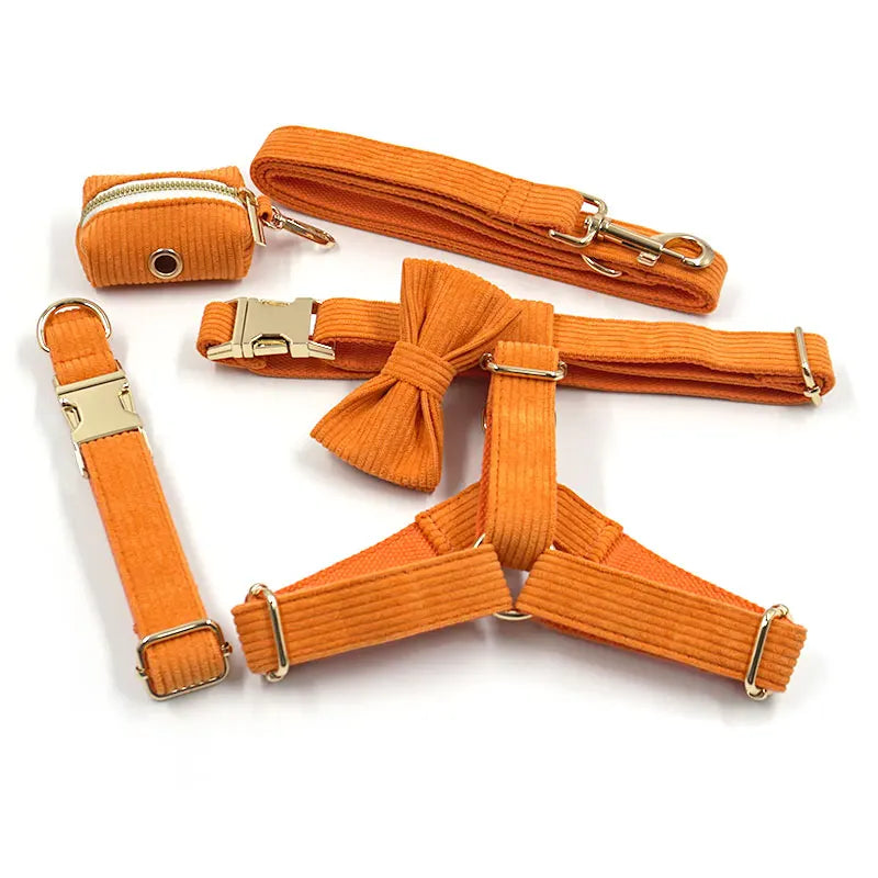 Orange Velvet Walk Set – Geschirr, Leine und Taschenhalter