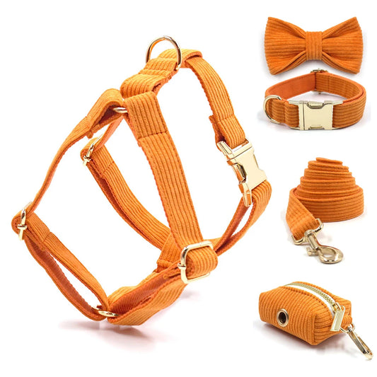 Orange Velvet Walk Set – Harness, Leash & Bag Holder