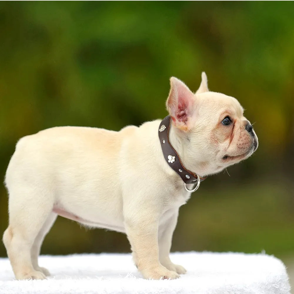 Klassisches Hundehalsband aus Leder – Alltagseleganz für Ihr Haustier