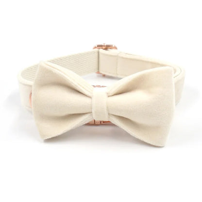 Cream Velvet Dog Collar – Elegance Redefined