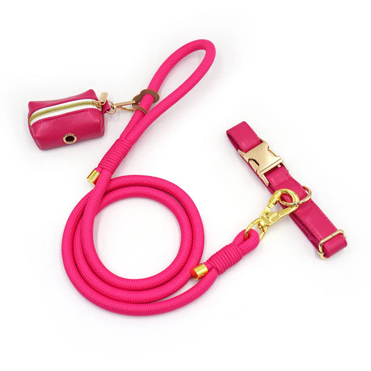 Timeless Elegance Leather Pet Collar