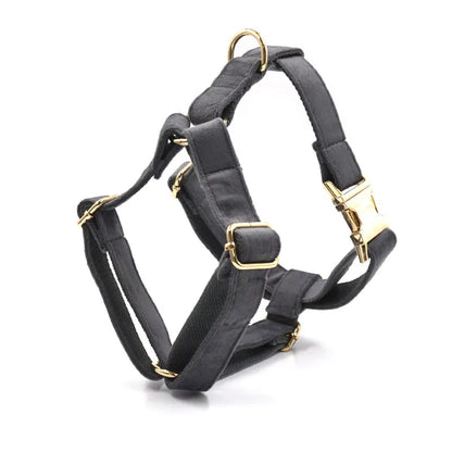 Dark Grey Velvet Walk Set – Harness, Leash & Bag Holder