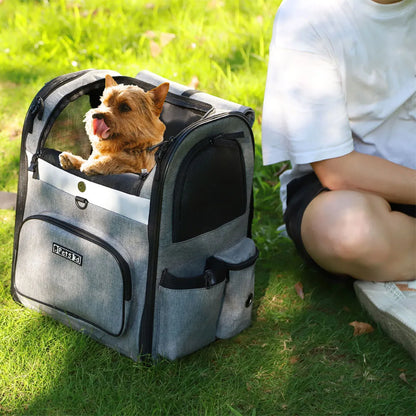 Pets Travel Set