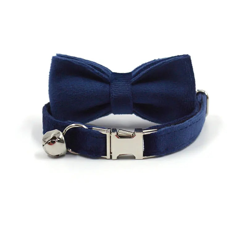 Royal Sapphire Velvet Collar