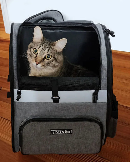 Pets Travel Set