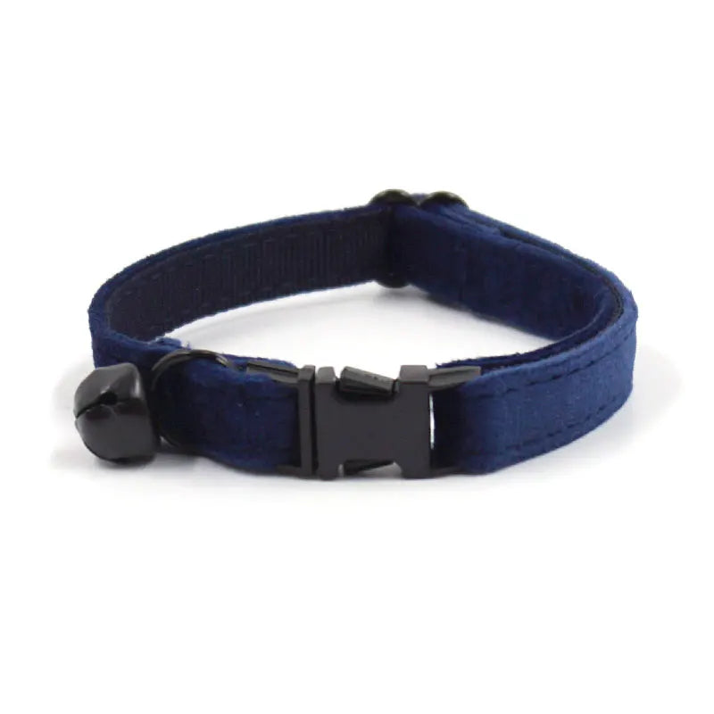 Royal Sapphire Velvet Collar