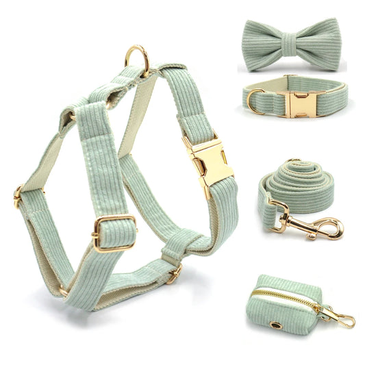 Mint Green Velvet Walk Set – Harness, Leash & Bag Holder