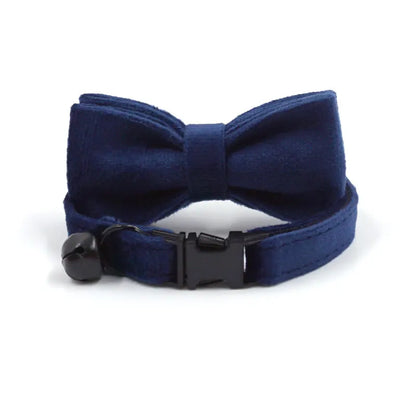 Royal Sapphire Velvet Collar