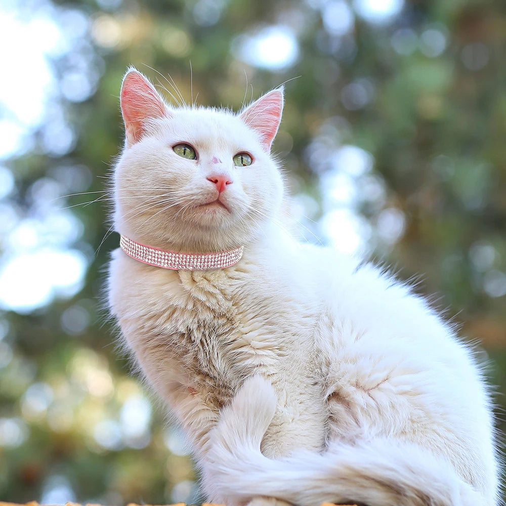 Funkelndes Katzenhalsband mit Strasssteinen