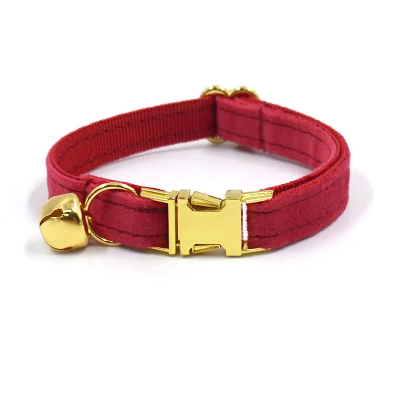 Halsband aus Samt in Royal Ruby