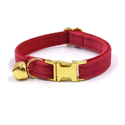 Halsband aus Samt in Royal Ruby